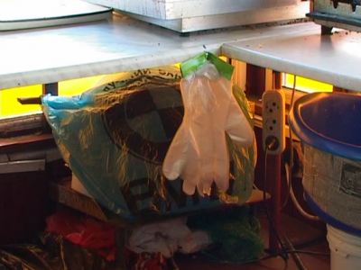 Мухи грязь и испорченные продукты Ветмилиция проверила киоски луганского фастфуда фото