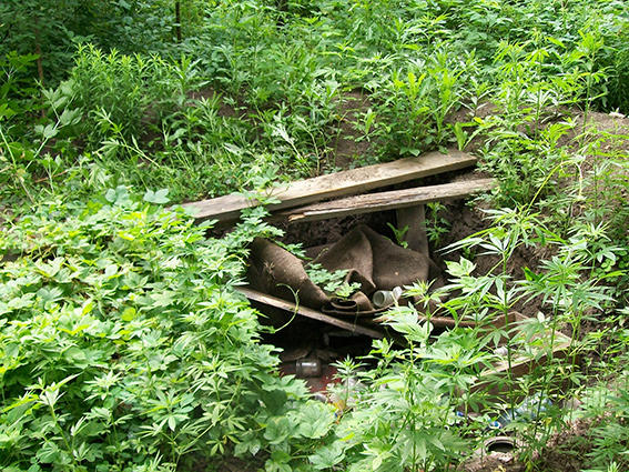 Жестокое убийство раскрыли в Луганской области фото