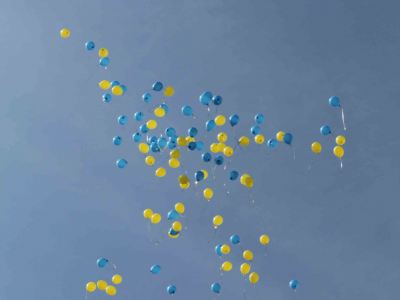 В Луганске создали флаг Украины из трех тысяч живых цветов фото