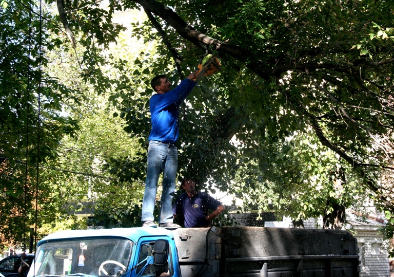По инициативе Владимира Медяника состоялся еще один субботник на площади Героев Великой Отечественной войны