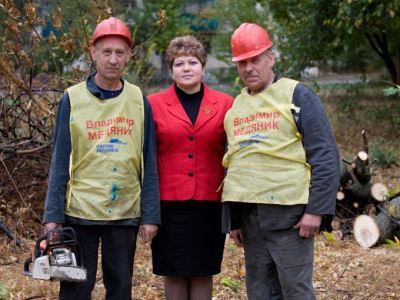 Программа Владимира Медяника по ликвидации аварийных деревьев проходит в Молодогвардейске на отлично