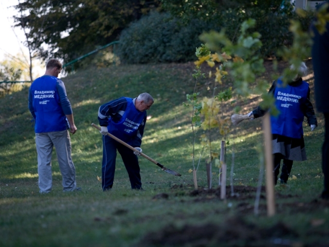 При содействии Владимира Медяника в Ленинском районе высадили более деревьев