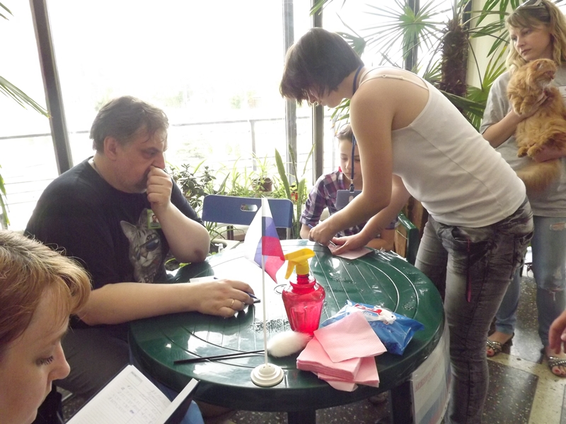 Купи друга за гривен Или немного о Международной выставке кошек в Луганске фото видео