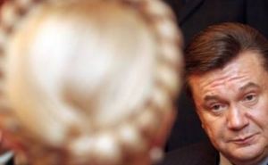 Виктор Янукович прокомментировал освобождение Тимошенко