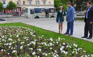 В Луганске высадили 50 тысяч цветов