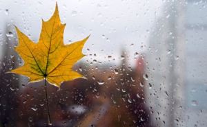 В Украине ожидаются сильные дожди и усиление ветра