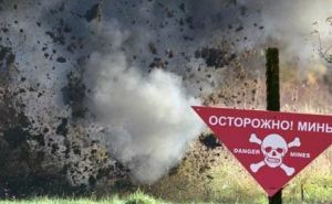 В Свердловске от мин и неразорвавшихся боеприпасов пострадали 12 человек