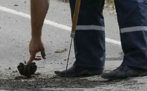 В Луганске обнаружили и обезвредили четыре неразорвавшихся снаряда