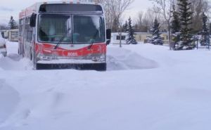 Из «снежного плена» под Свердловском спасли 9 пассажиров застрявшего автобуса