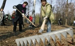 Пайки вместо денег: в Брянке Луганской области решили, как будут платить за общественные работы