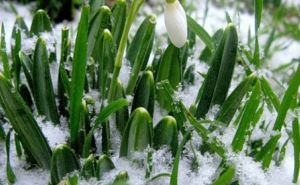 Когда в Харьковскую область придет настоящая весна?