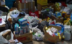 В Луганскую области привезли 110 тонн гуманитарной помощи