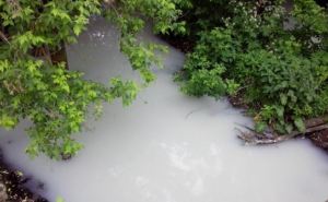 В Харьковской области побелела река. Зараженная вода идет в Северский Донец