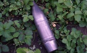 На овощной базе в Луганске нашли склад крупнокалиберных снарядов