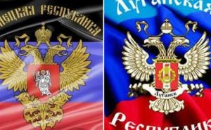 Представители ЛНР и ДНР настаивают на недопустимости участия в местных выборах украинских партий