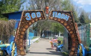 Луганск послевоенный: в городском зоопарке зимуют 120 животных и птиц (видео)
