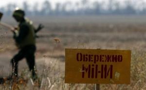 В Минске наметили сроки разминирования на Донбассе