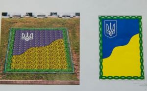 В центре Харькова появится цветочный флаг Украины