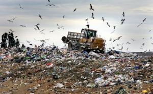 В самопровозглашенной ЛНР пройдет акция «Очистим планету от мусора»