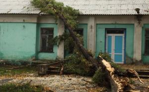 Непогода в Донецке повалила деревья и повредила жилые дома