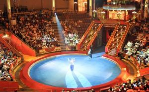 В Луганском цирке 12 ноября начнется новая программа