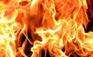 В Луганске произошел пожар на мясокомбинате