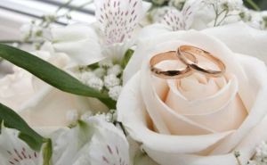 В самопровозглашенной ЛНР зарегистрировали 2370 браков