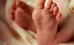 Где в Луганской области можно получить свидетельство о рождении ребенка?