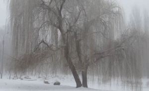 Прогноз погоды в Луганске на 17 января