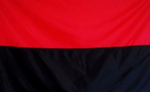 На военном полигоне под Харьковом приказали убрать все красно-черные флаги. — Соцсети