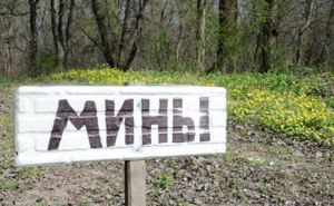 ОБСЕ призывает стороны конфликта на Донбассе передать карты минных полей