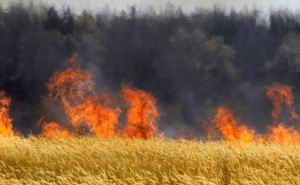 В самопровозглашенной ЛНР с 1 июля объявлен высокий класс пожарной опасности
