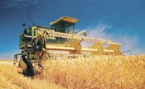 В Луганской области планируют собрать более 1 млн тонн ранних зерновых культур