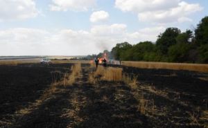 В Донецкой области из-за обстрела сгорело 60 га пшеницы (фото)