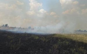 В Луганской области пожары охватили более 15 гектаров открытой местности (фото)