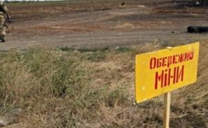 Саперы разминировали более 3 тыс. га территории Донбасса. — Минобороны