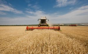 В Луганской области собрали 1 млн тонн зерна