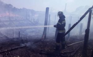 Под Луганском горит Малиновское лесничество (фото, видео)