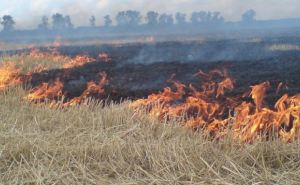В Луганской области предупреждают о чрезвычайной пожарной опасности