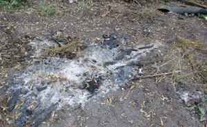 В Станично-Луганском районе подросток совершил жестокое убийство (фото)