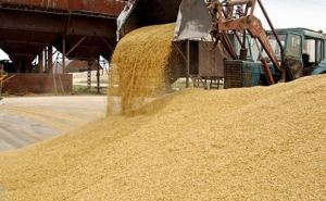 В самопровозглашенной ЛНР установлены льготы на вывоз продовольственной пшеницы