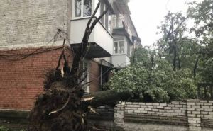 Сильнейший ураган ударил по Рубежному вчера. Видео