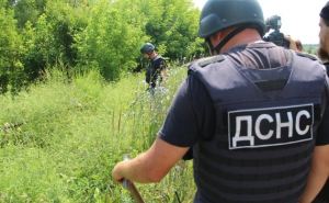 У Станицы Луганской уже обезврежено 708 взрывоопасных предметов