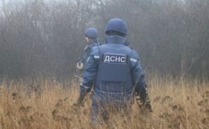 На Луганщине за сутки пиротехники нашли более 20 гранат