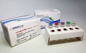 В Рубежанской инфекционной больнице до сих пор не могут делать ПЦР тесты на коронавирус. ВИДЕО