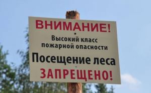 В Луганске объявили запрет на посещение лесов