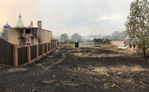 В Луганской области масштабные лесные пожары. Эвакуируют населенные пункты, есть погибшие, локализовать огонь не удается. ФОТО. ВИДЕО