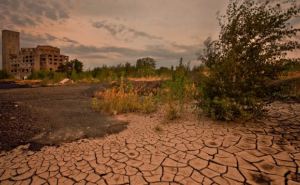 Атмосферная засуха началась в центральной части Луганщины