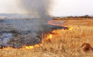 Пожарный пострадал в результате взрыва во время тушения пожара в Луганской области