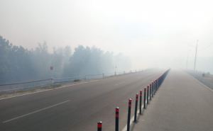 Большинство лесных пожаров в этом районе ликвидировали, однако КПВВ до сих пор был закрыт, — СММ ОБСЕ